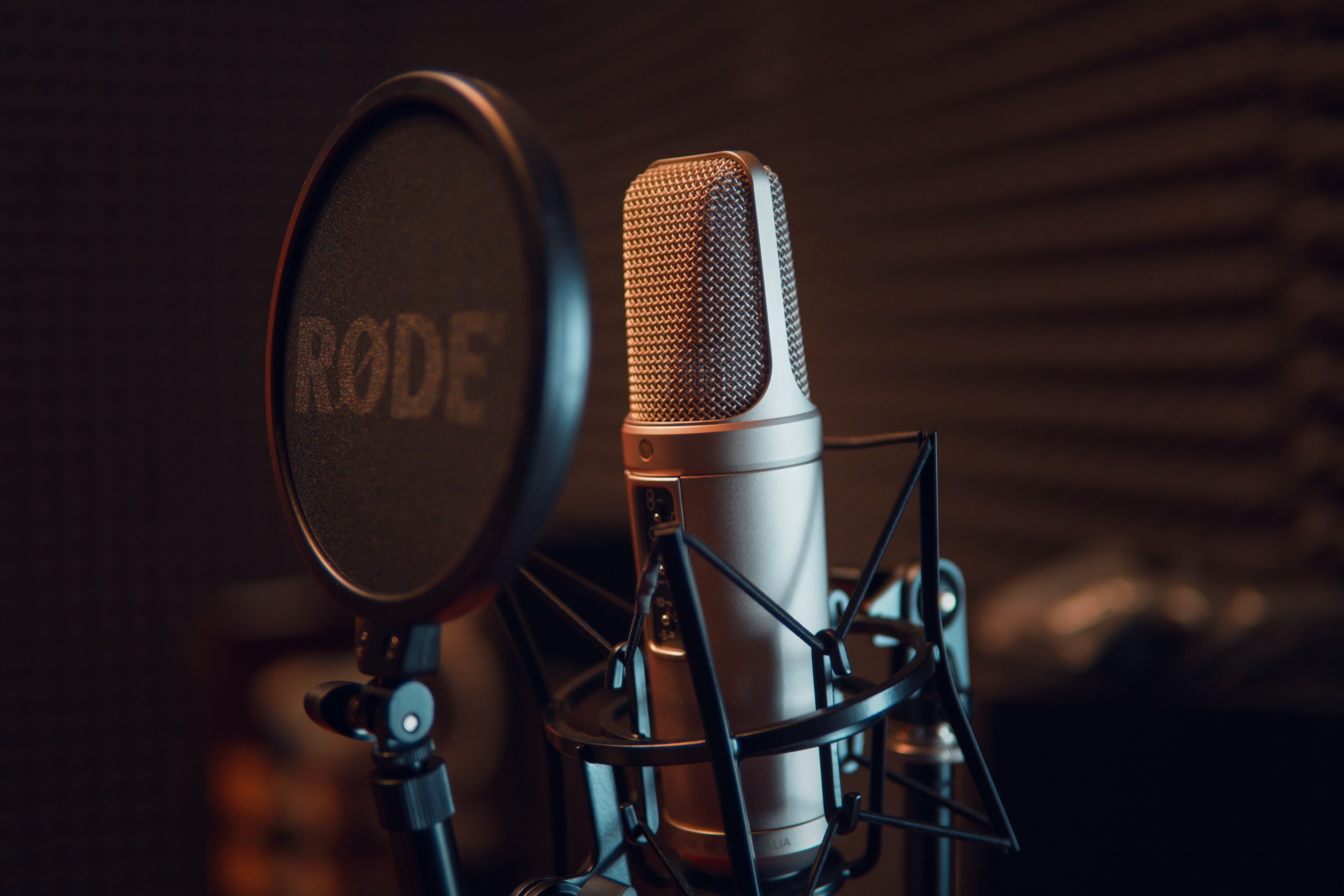 Video game voice actors are threatened by AI voice synthesizer (Photo credit: Dmitry Demidov/Pexels)